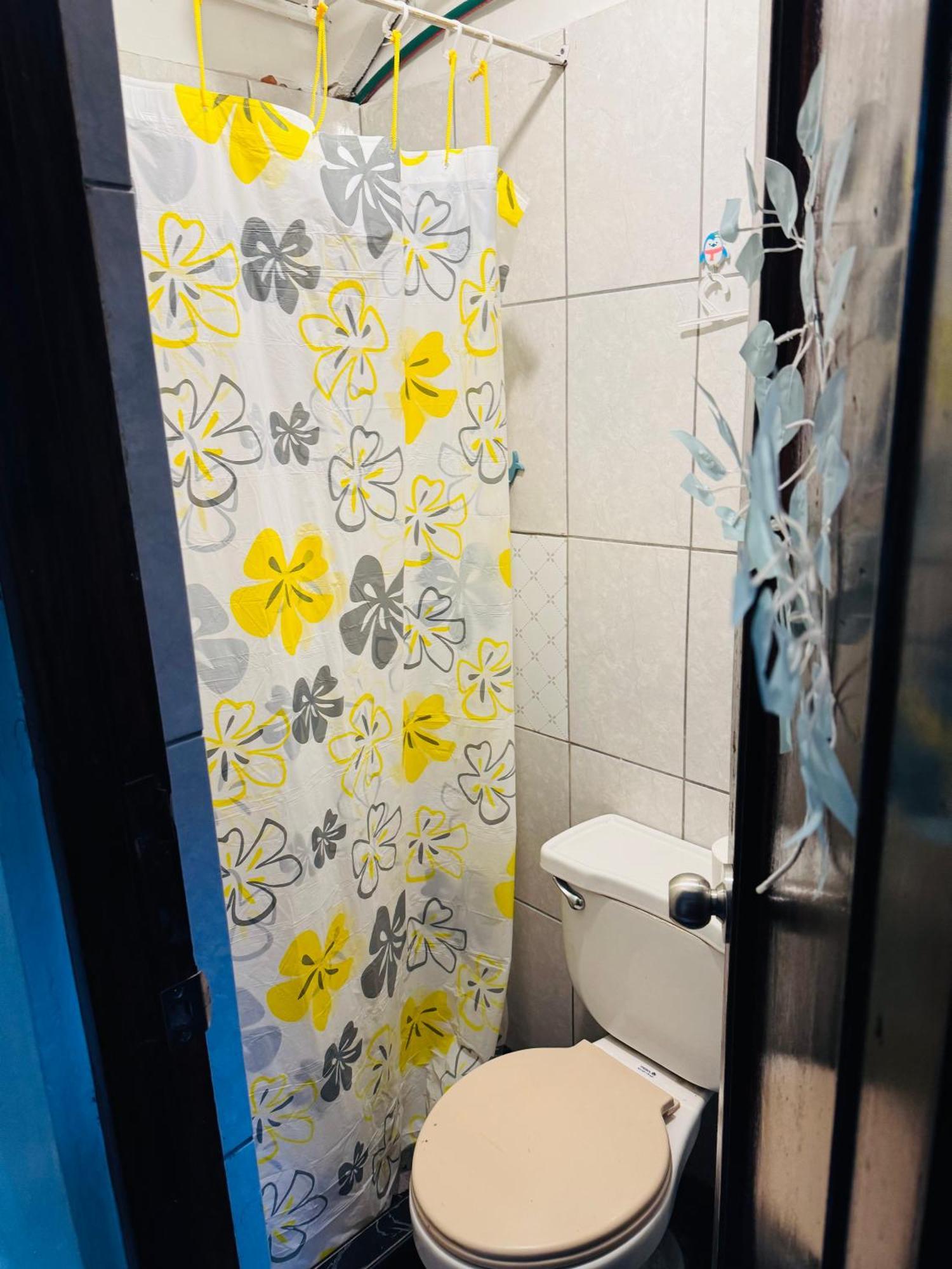Ukumari Hostel 库斯科 外观 照片