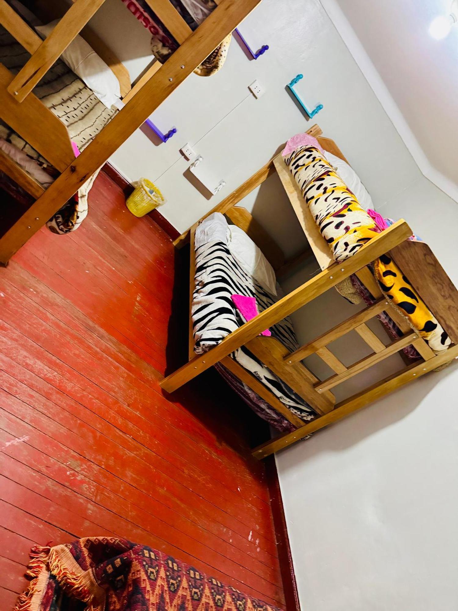 Ukumari Hostel 库斯科 外观 照片