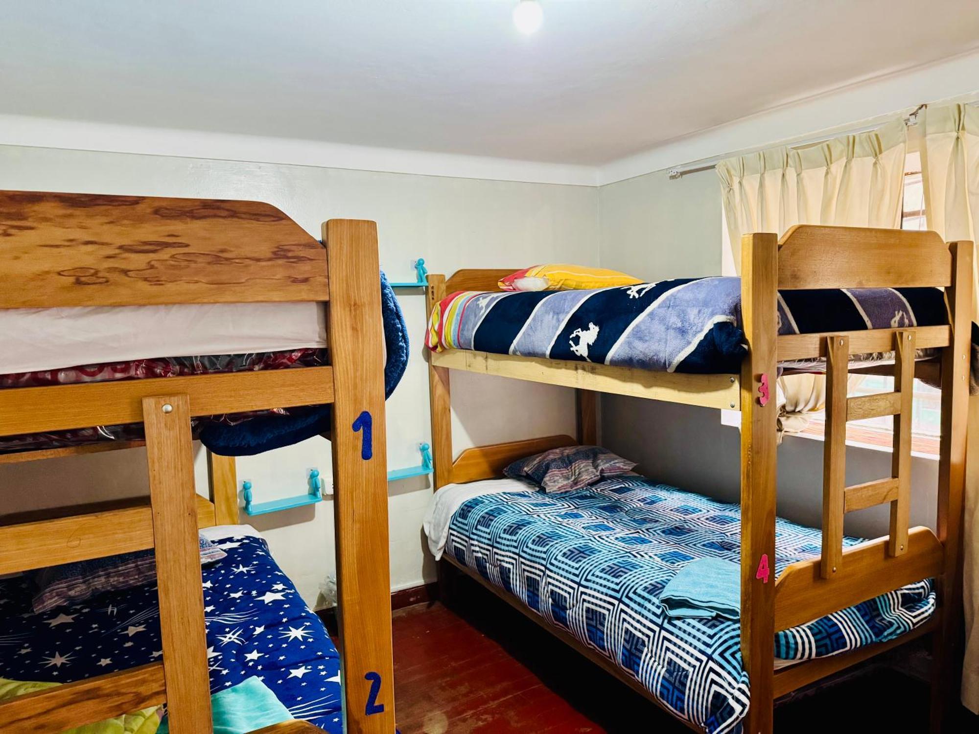Ukumari Hostel 库斯科 外观 照片